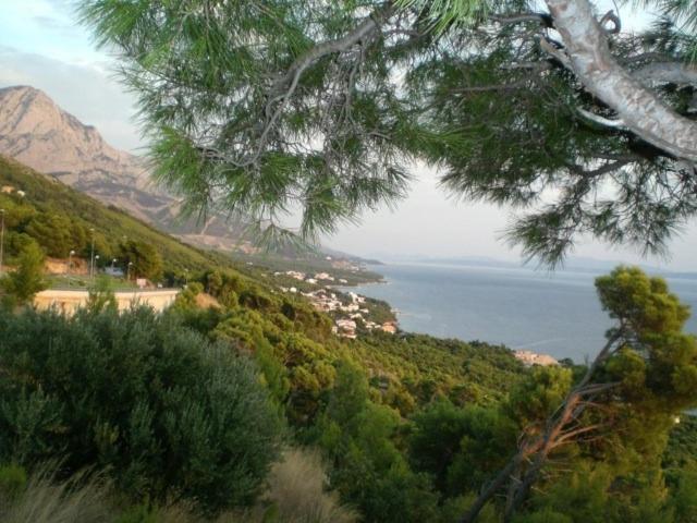 Werz Sea View